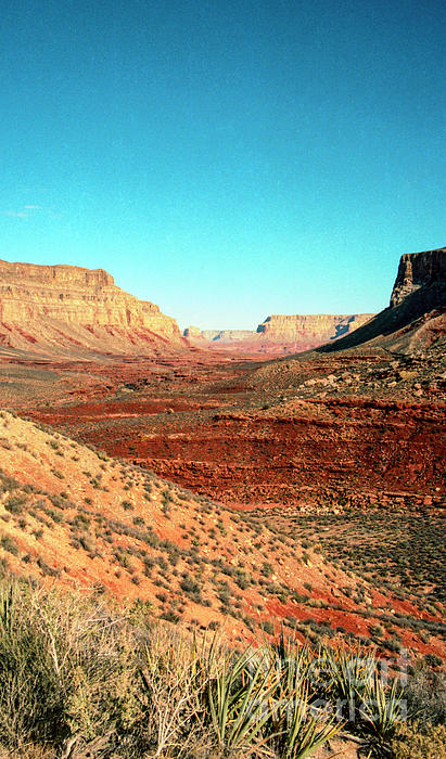 View from the Hilltop by Kathy McClure View from the Hilltop by Kathy McClure
